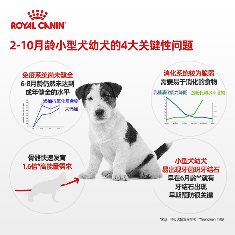 88VIP：ROYAL CANIN 皇家 小型犬幼犬营养粮50g 4.66元