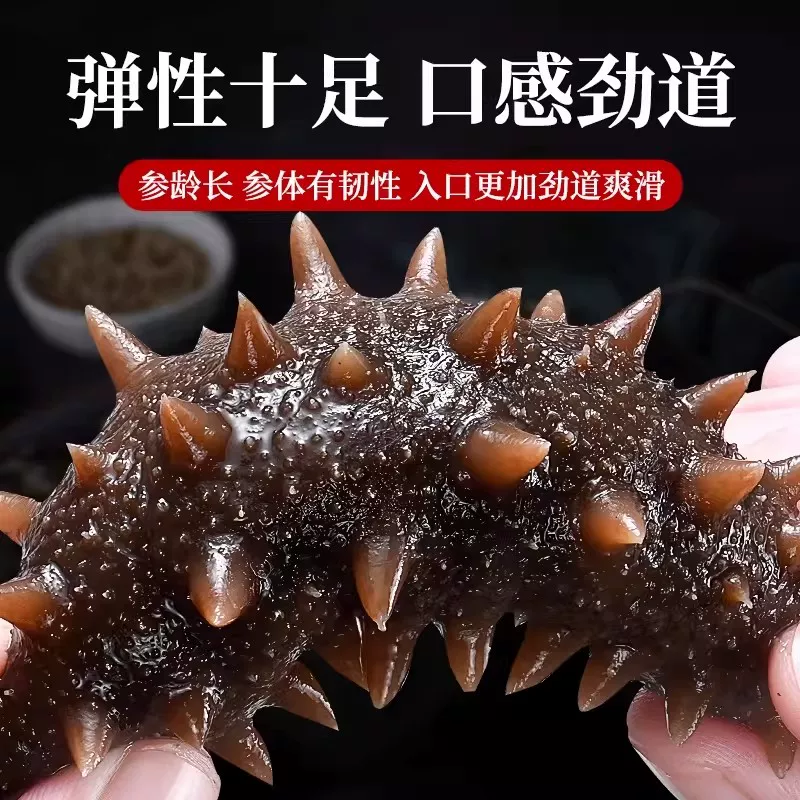 大连海参官方旗舰店即食独立包装袋辽参刺参海渗鲜活海鲜礼盒水产 125元 - 线报酷