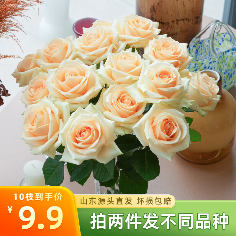 京东鲜花 玫瑰花山东基地女朋友鲜花10枝源头直发 17.9元