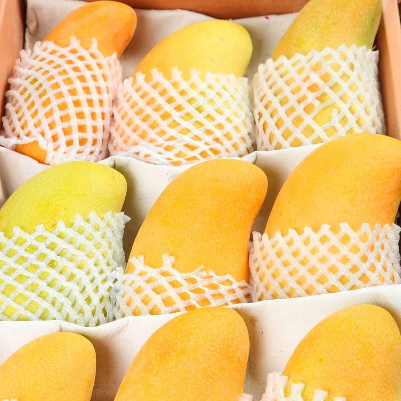 正宗台芒 海南小台芒果 带箱5斤 单果50-70克/好评率95﹪ 10.2元/整箱五斤！