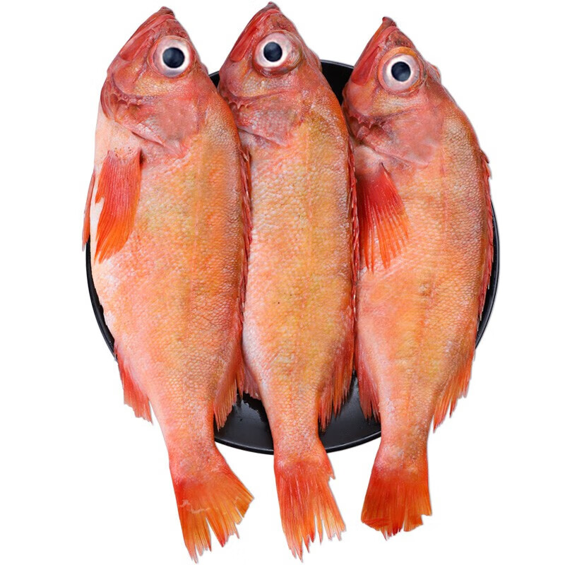 尊利渔 红石斑鱼冷冻 750-800g/条 31.33元（需买3件，需用券）