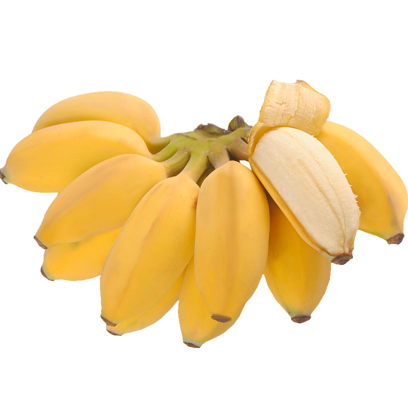 静益乐源广西小米蕉 现摘现发 新鲜香蕉水果 5斤*2件 19.52元，折9.76元/件（