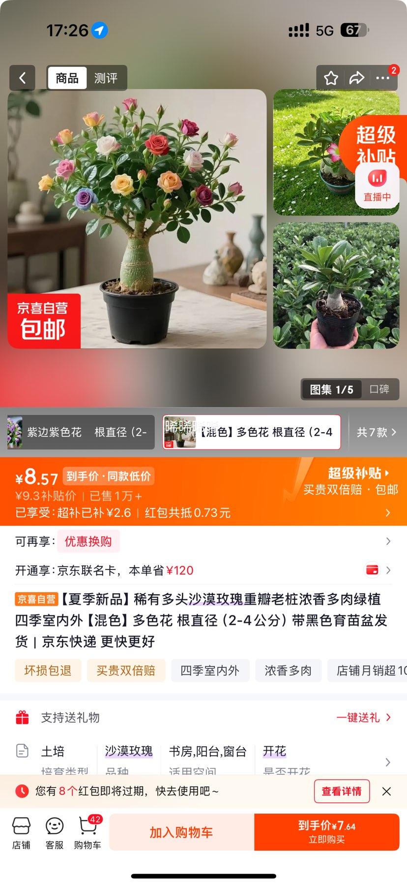 京喜 稀有多头沙漠玫瑰重瓣老桩浓香多肉绿植四季室内外 多色花 根直径 9.3元 - 线报酷