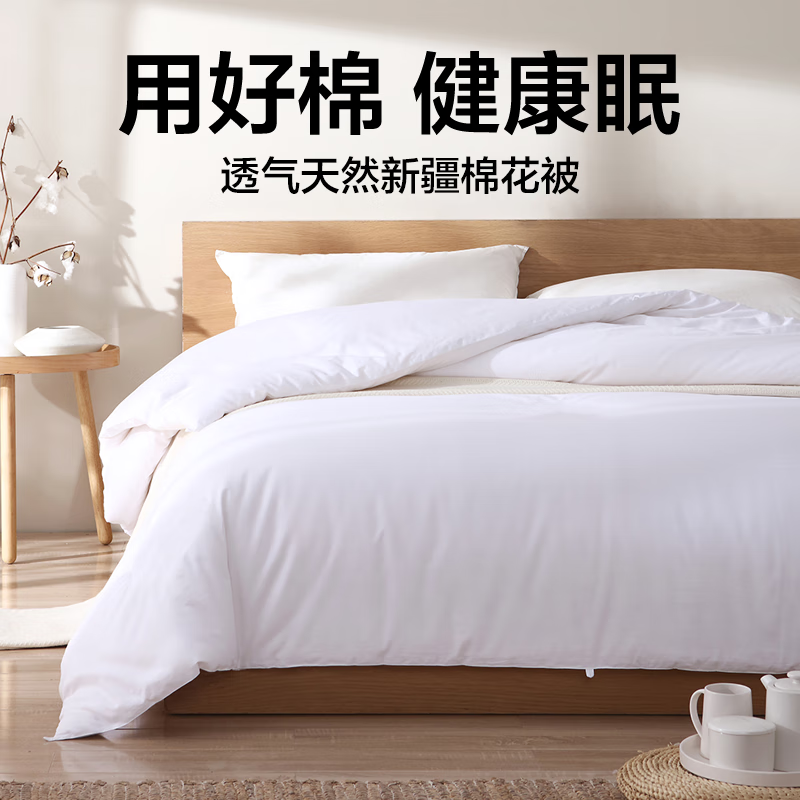 家装季：YANXUAN 网易严选 100%新疆棉花被 秋冬被 220*240cm 115.5元（需用券）