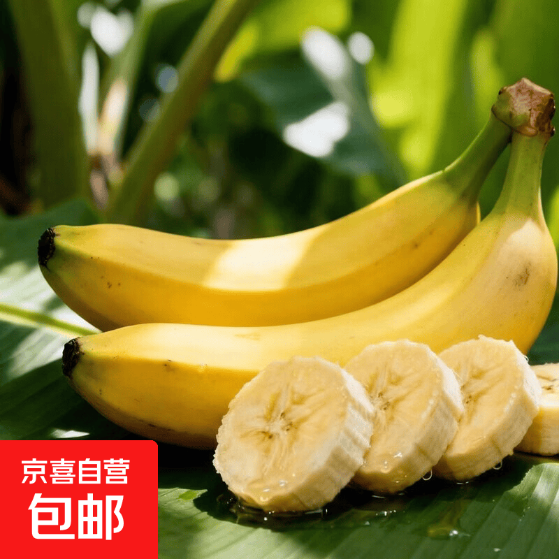 移动端、京东百亿补贴：京喜加 广西高山青皮香蕉 带箱8斤净重7.5斤 14.38元