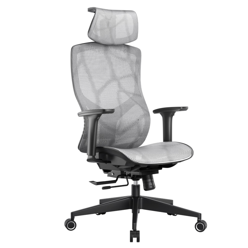 限地区：支家 1606A 人体工程学椅电脑椅办公椅 黑框灰网 399.55元包邮（需领