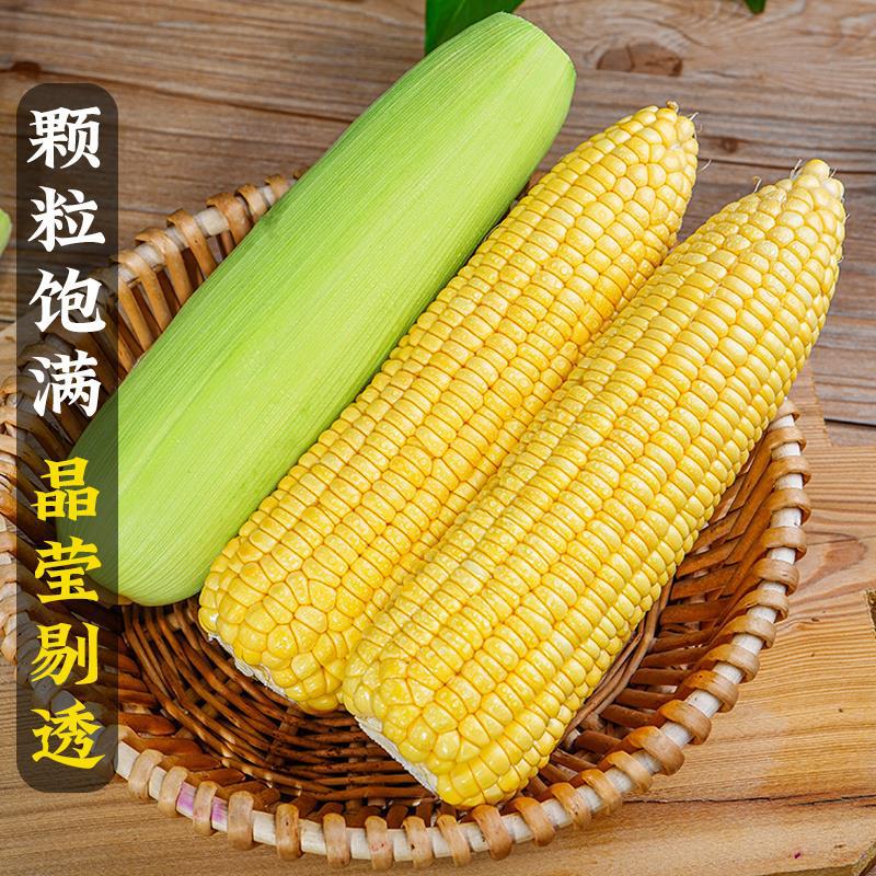 京东百亿补贴：晟容果蔬 新鲜玉米 水果玉米 9斤 带箱 单果200-250g 17.58元 包