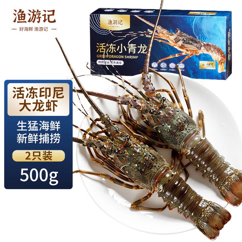 渔游记 YUYOUJI）印尼小青龙虾500g/2只 超大龙虾 花龙海鲜水产冷冻大虾生鲜 