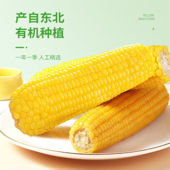 珍谷诱惑 有机甜糯玉米8支 ￥22.9