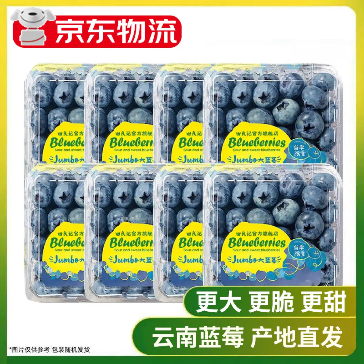 蓝莓 blueberry 新鲜进口水果生鲜超大果送礼 品质中果【单果15mm+】 6盒 【100g-