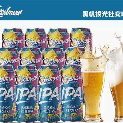 需首购：艾瑟尔IPA 精酿啤酒 麦芽度13.8°P经典500ml*12瓶整箱装 53.41元（需领