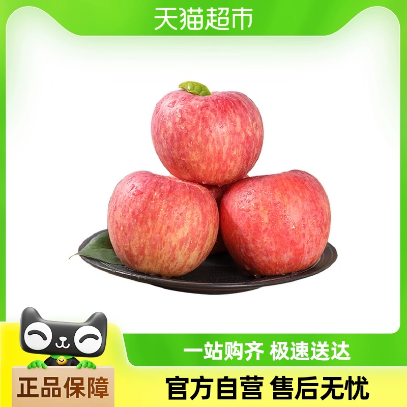 巧域 山东烟台红富士苹果4.5斤 ￥16
