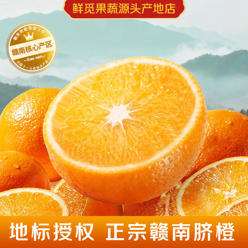 赣南脐橙 江西赣州橙子 新鲜水果整箱应季生鲜 年货节礼盒 赣州直发 10斤装