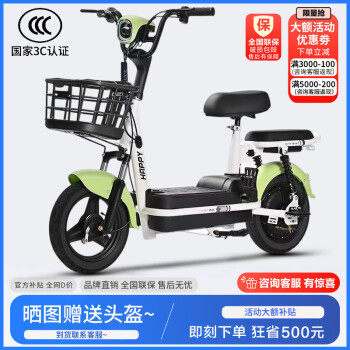 安顺骑 新国标电动自行车小型电动车48V电瓶车幻影锂电池代步车 绿色 ￥199