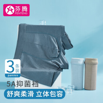 FENTENG 芬腾 男士抑菌内裤 3条装 32.9元包邮（需用券）