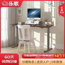 乐歌（Loctek） E2S特惠小户型电动升降桌家居书桌站立办公式移动工作电脑桌