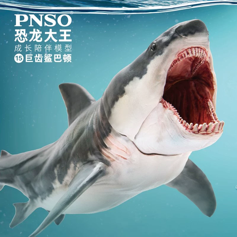 PNSO 巨齿鲨 巴顿恐龙大王成长陪伴模型15 ￥79