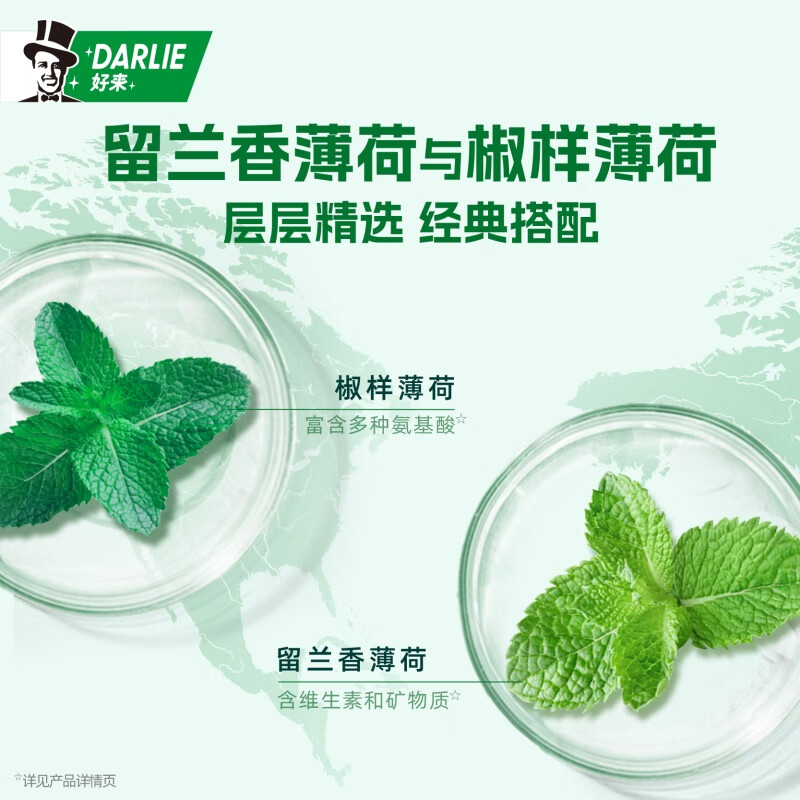 好来 黑人好来双重薄荷牙膏225g清新口气防蛀固齿 6.3元