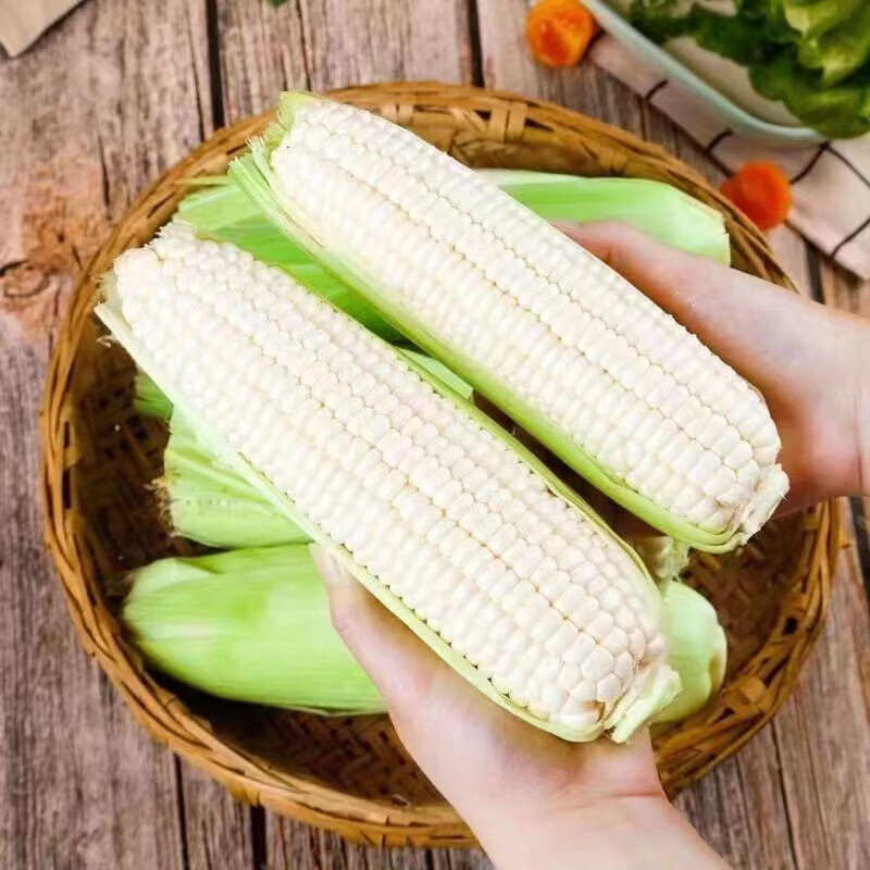 商超品质 新鲜现摘 白糯玉米 4.5斤装 ￥14.95