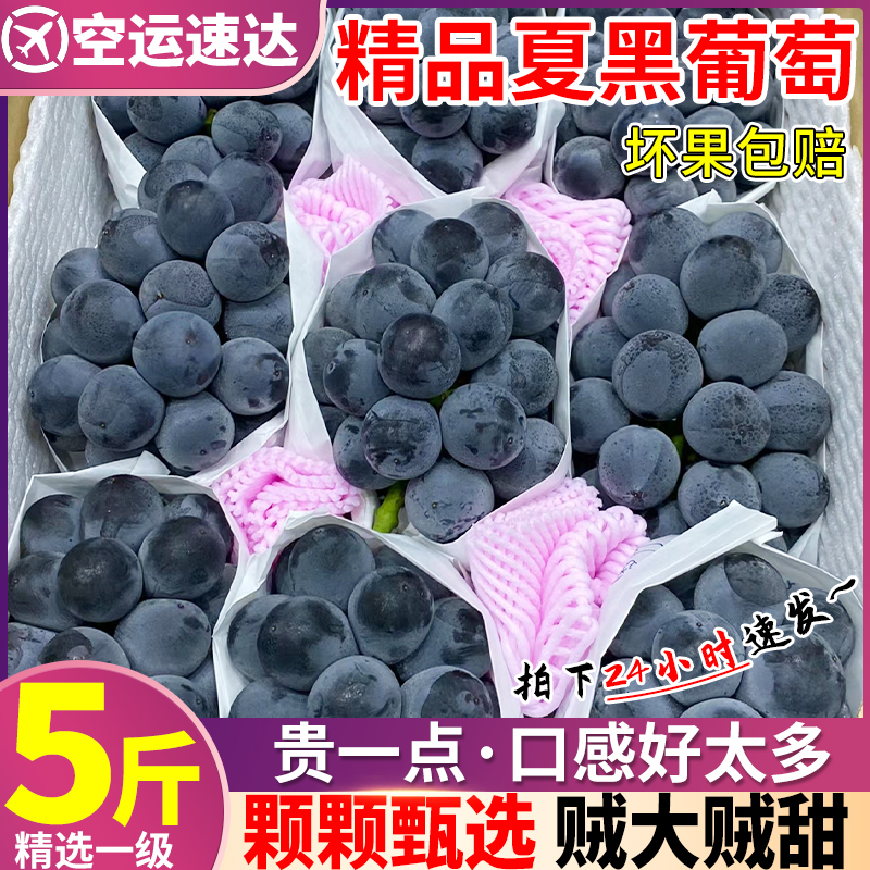 铂果 空运礼盒装 5斤云南夏黑葡萄无籽葡萄新鲜时令水果巨峰黑加仑整箱 76.