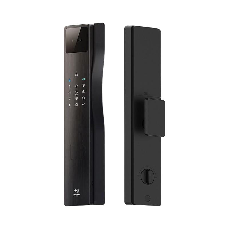 龙霆 a5fd 3D人脸识别 全自动智能锁 359.47元 - 清风线报