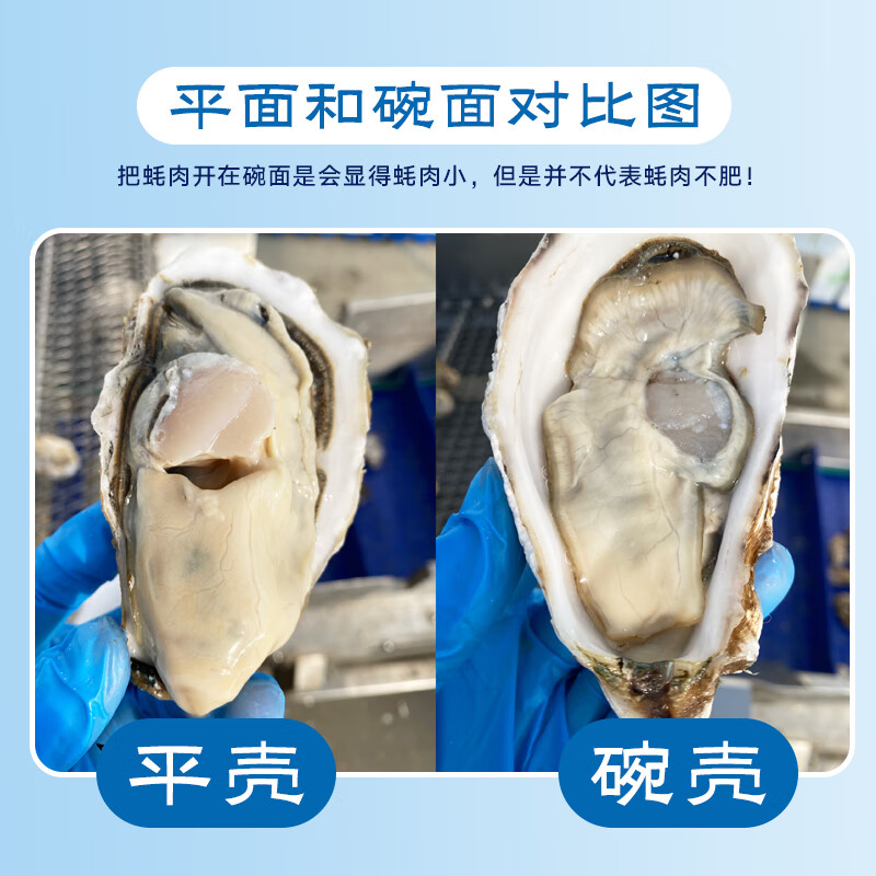 乳山牡蛎 鲜活乳山生蚝 3XL 净重5kg 123.64元（需用券）