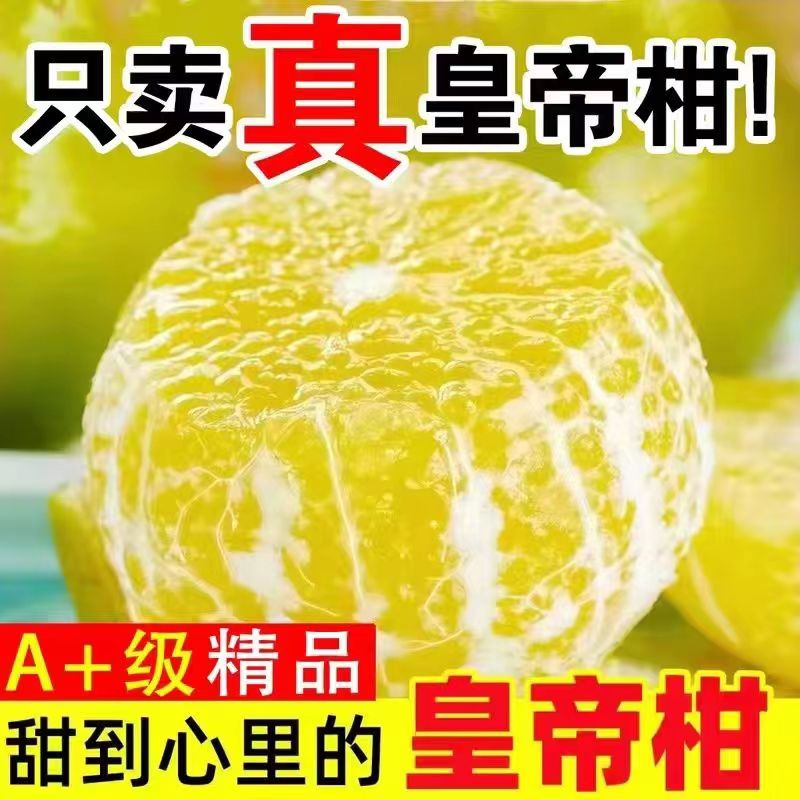 特大果 广西武鸣 皇帝柑 4.5斤装（约20个）单果60mm以上 19.99元（需买2件，需