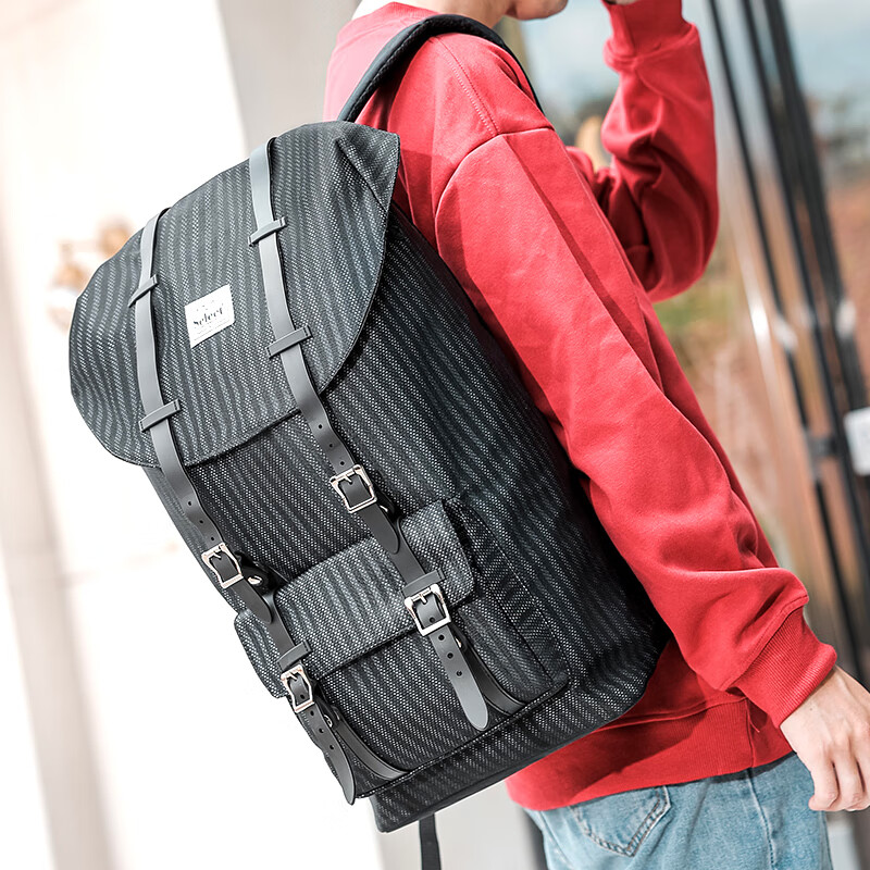 Select 背包双肩包旅行包15-16英寸电脑包 39元（需用券）