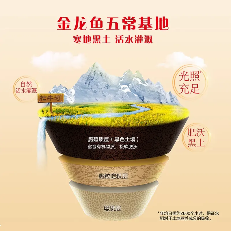 金龙鱼 五常大米5kg*2袋粒粒凝香 东北大米 53.29元 - 清风线报