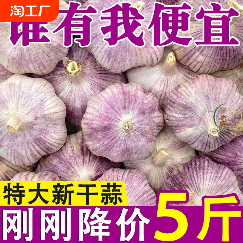 天天特价！山东金乡紫皮大蒜头干蒜批发2024新鲜祘头籽农家蒜子y ￥2.47