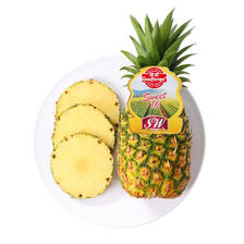 Goodfarmer 佳农 菲律宾 菠萝 巨无霸大果 单果1.3-1.5kg 1个 24元（需买5件，需用