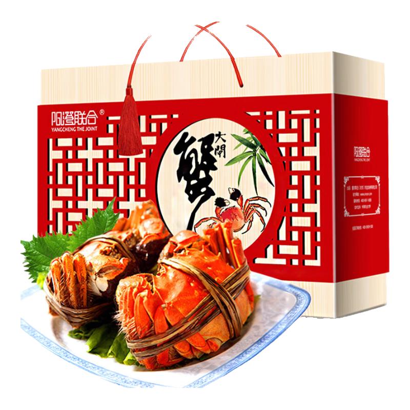 阳澄联合 鲜活大闸蟹现货全母蟹 3.0-3.3两 8只生鲜螃蟹精品礼品盒