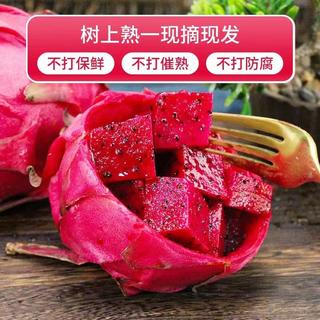果迎鲜 金都一号红心火龙果 5斤装 15.9元 - 86线报 果迎鲜 金都一号红心火龙果 5斤装 15.9元 - 86线报