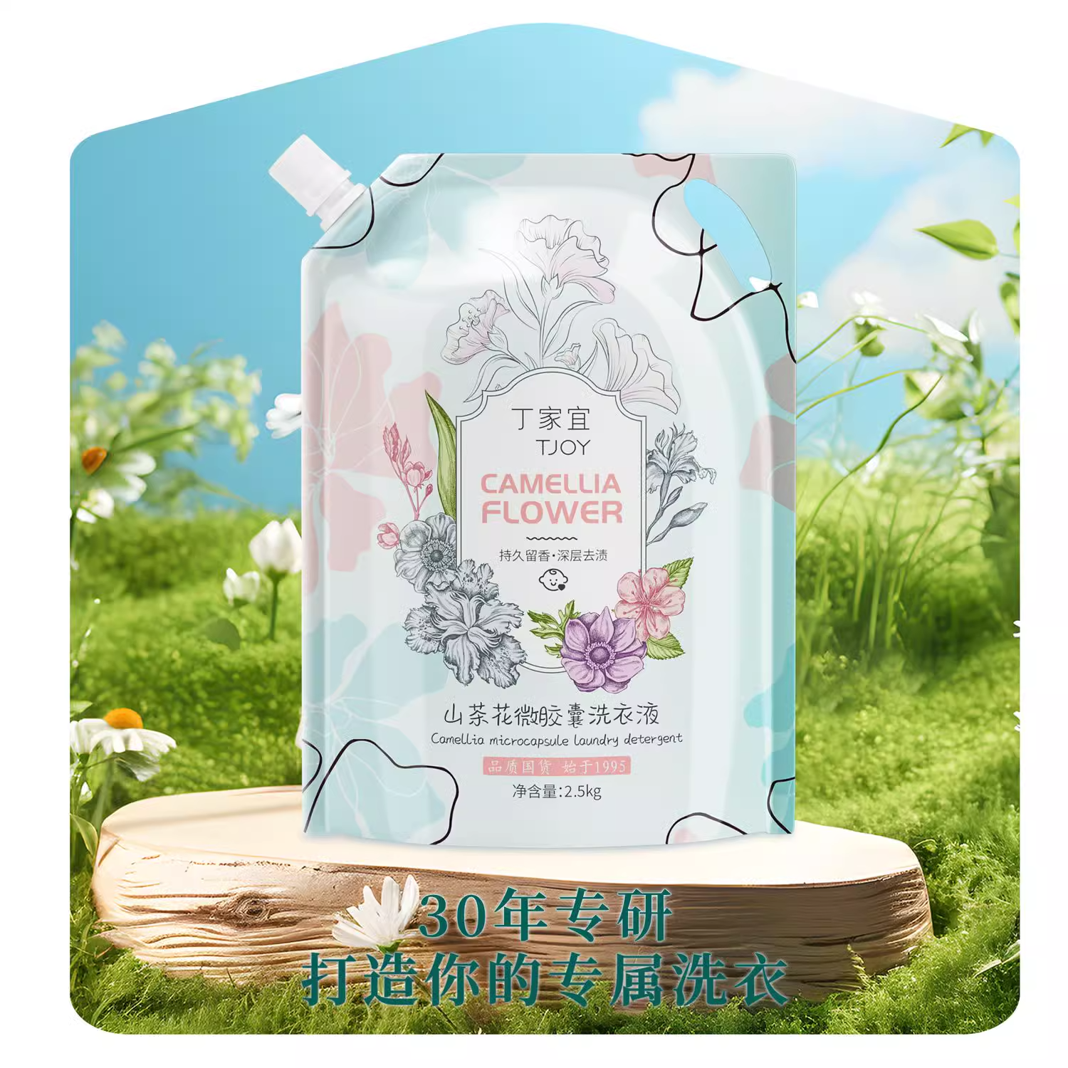 TJOY 丁家宜 山茶花洗衣液 2.5KG*1袋 山茶花香 4.96元