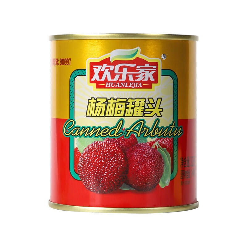 HUANLEJIA 欢乐家 杨梅罐头316g*6罐 新鲜杨梅果肉糖水水果罐头 方便速食零食 19