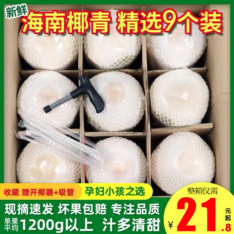 原味恋岛 当季海南椰青新鲜椰子9个装水果香椰子水去皮一整箱 特产 21.8元