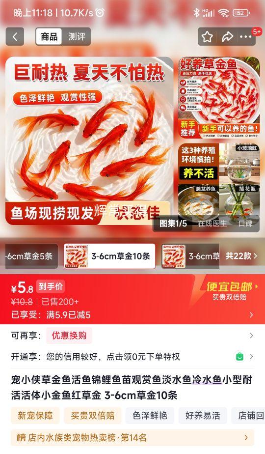 宠小侠 草金鱼活体 红草金鱼 3-6cm×10条 5.8元 - 86线报