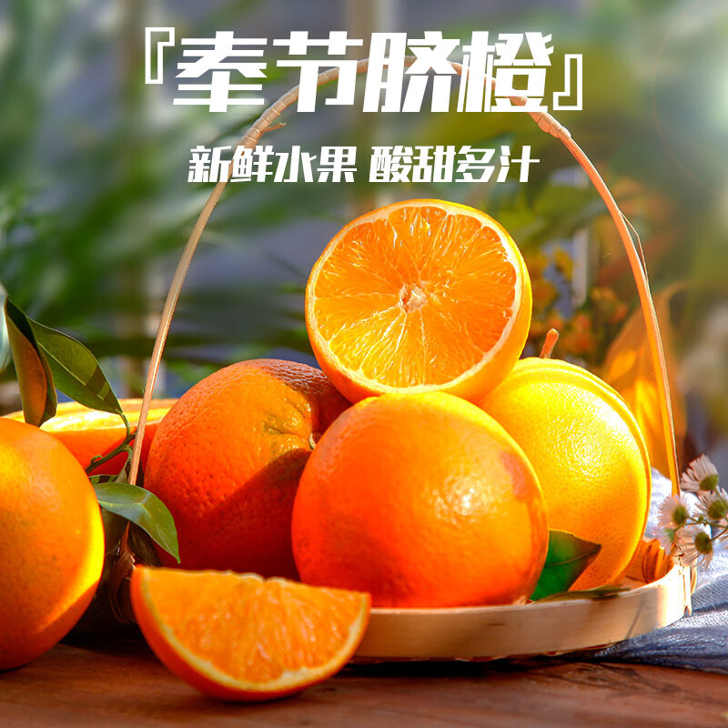 笮水田园 重庆奉节脐橙 果径 65-70mm 净重最少4.5斤 17.4元（需买2件，共34.8元