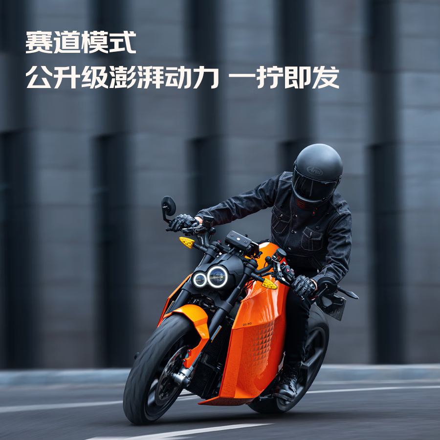 DAVINCI 达芬骑 DC100 高性能电动摩托车 充电桩锂电池摩托车 177299元（需用券