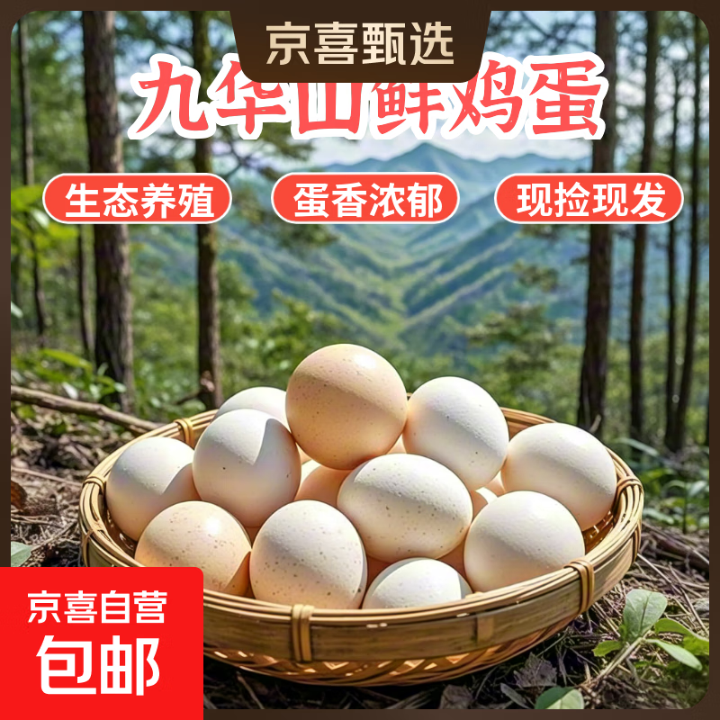 京喜 九华山 国产山林散养土鸡蛋 40-50g 10枚 1.99元