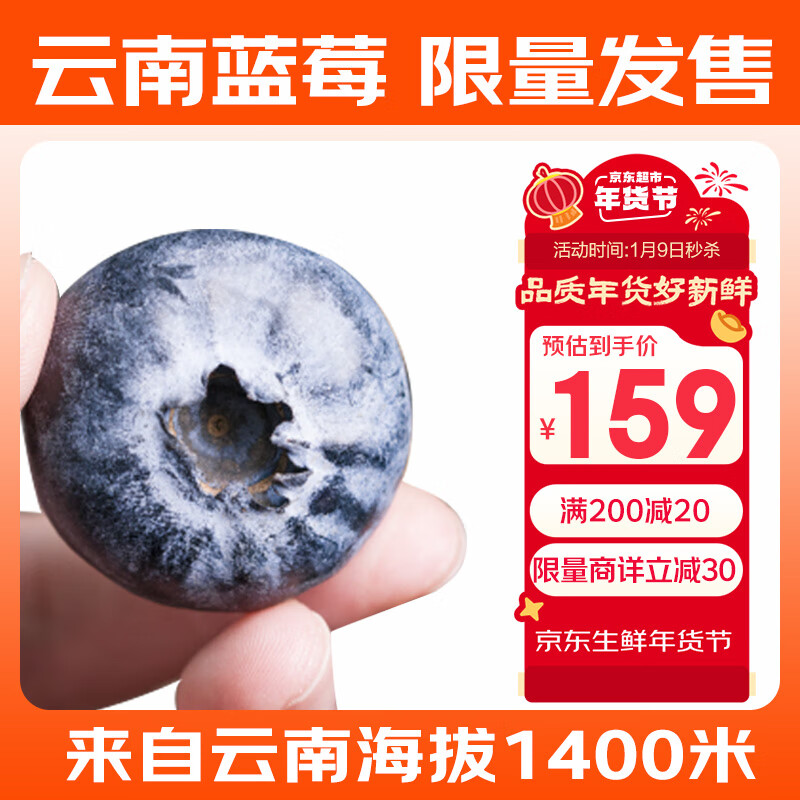 Mr.Seafood 京鲜生 云南蓝莓巨无霸 22mm+ 12盒装 125g/盒 新鲜水果 源头直发 原箱