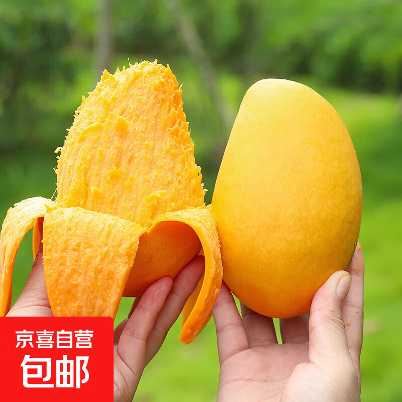 京喜加 海南台芒 新鲜芒果 生鲜水果 时令鲜果 净重5斤60+ 11.9元