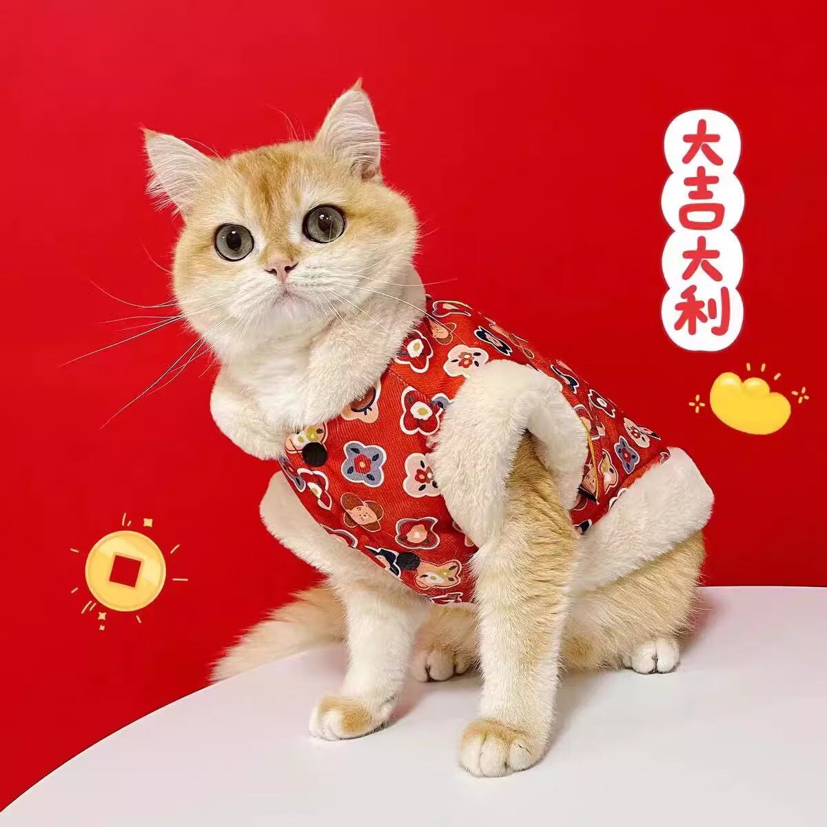 旺妙 宠物猫咪新年招财套装（衣服XL码+帽子） 28.8元