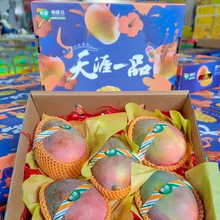 花慕辰 凯特芒果 4.5斤装 特大果 单果600g+ 14.85元（需买2件，需用券）
