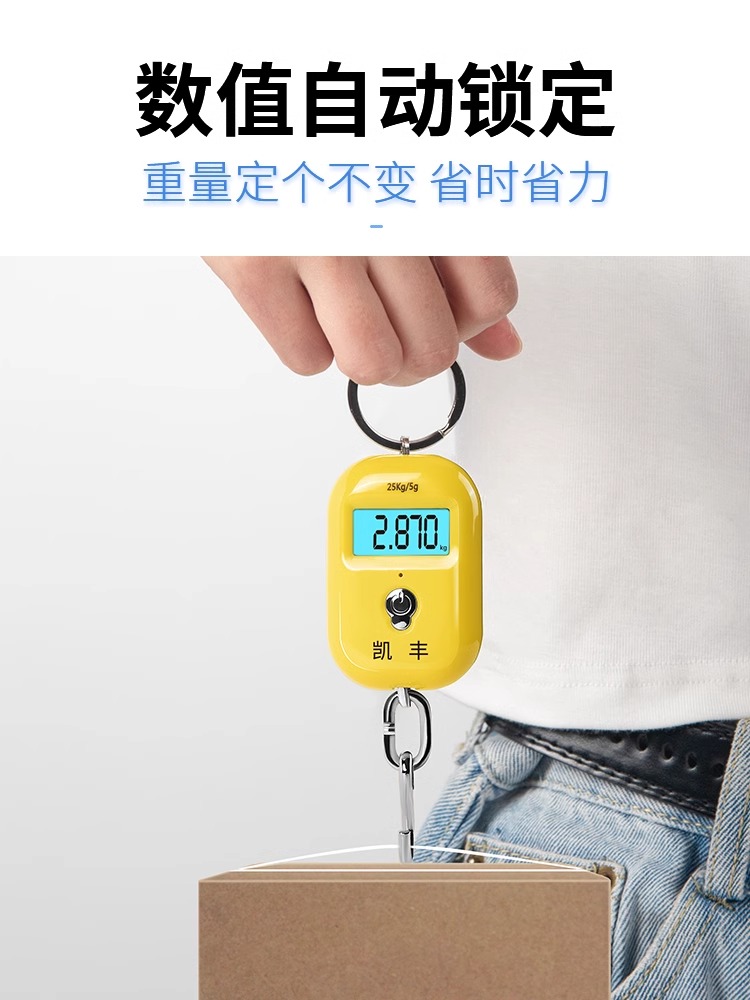 88VIP：凯丰 精准迷你手提电子秤 大黄蜂25kg 22.61元