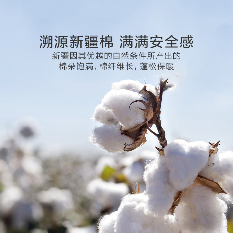 LUOLAI 罗莱家纺 棉花被100%新疆棉全棉被子被芯四季被双人床加厚保暖冬被 208