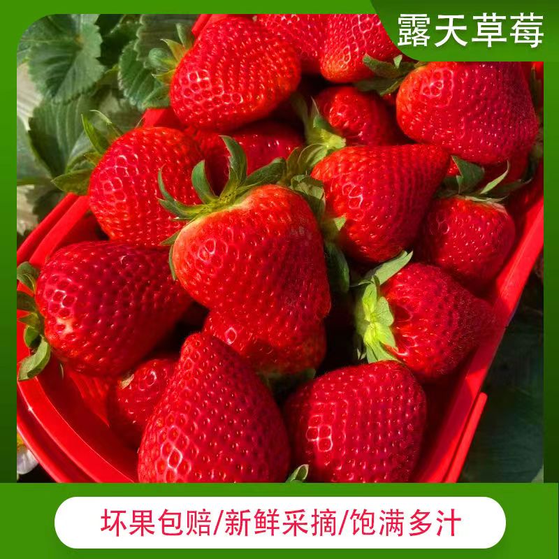 开春福利款！！ 红颜草莓 2.5斤装（单果30mm+) 28元（需买2件，需用券）