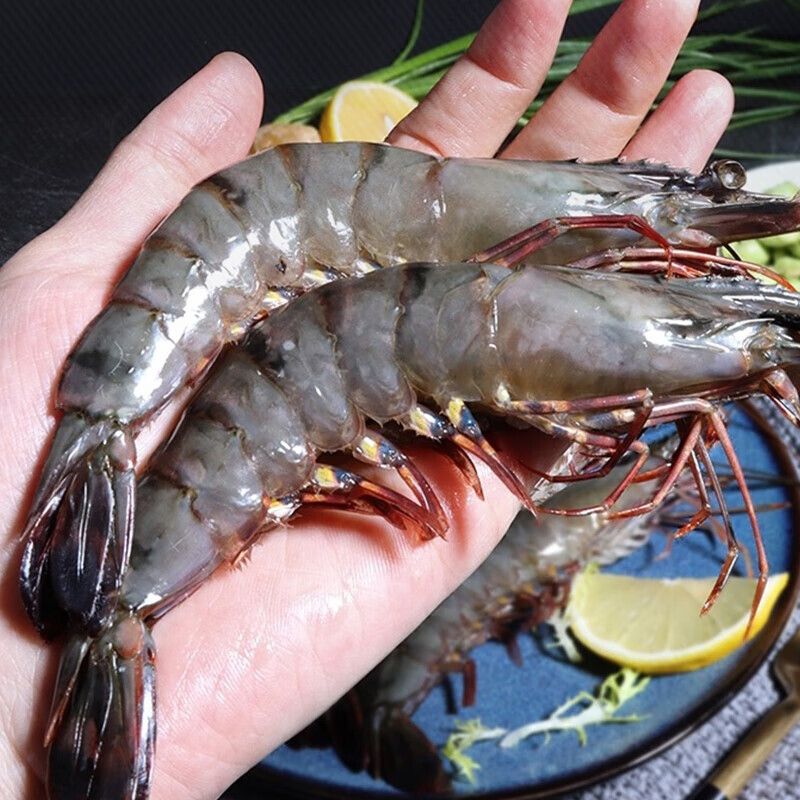 澳角大厝 鲜活速冻黑虎虾 600g/盒 60元(包邮,需买2件,共120元,需用券