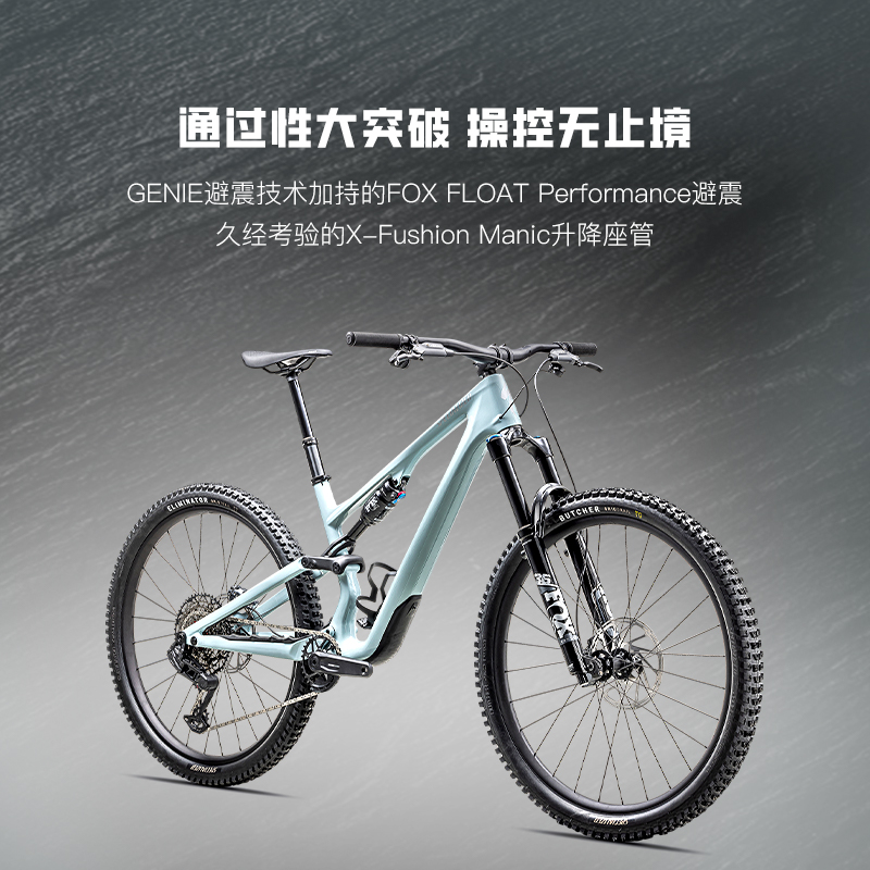 闪电 STUMPJUMPER 15 COMP 碳纤维全避震山地自行车 38940元（需用券）