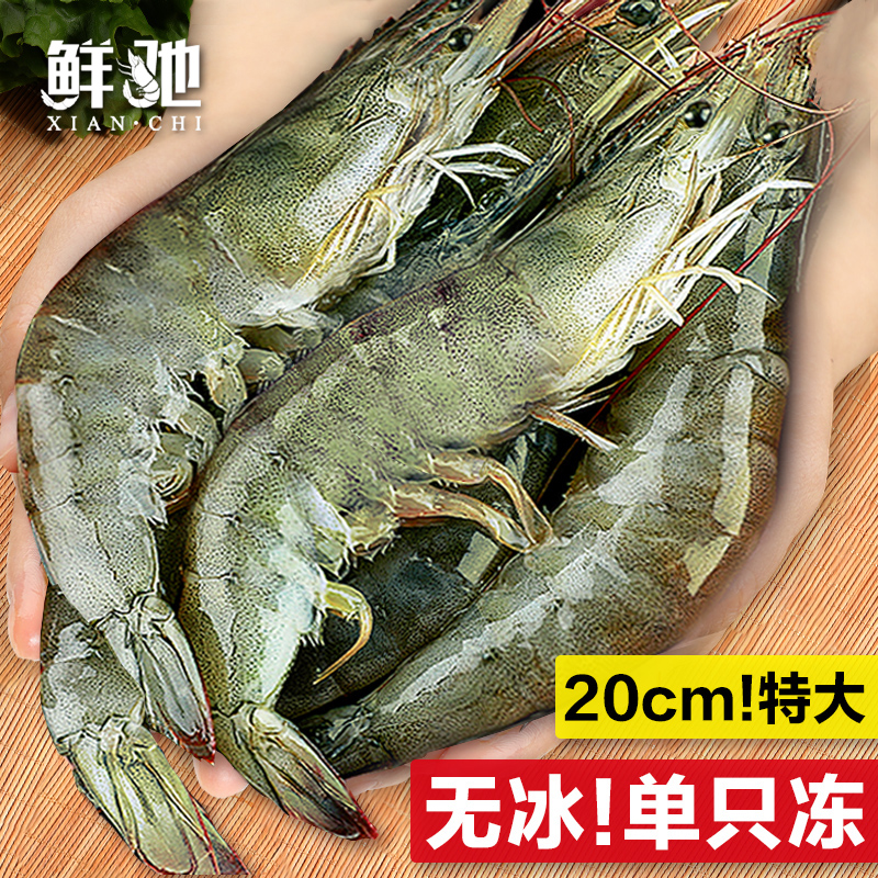 鲜驰 鲜活超大基围虾 青岛1400g 17-20cm 54元